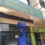 Green Oasis Rent A Car photo 1